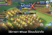 วิธีการหา Wheat ได้แบบไม่จำกัด