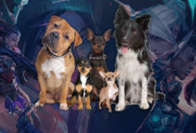 5 เหตุผลที่ทำให้เราเลิกเล่น 'เกมหมาๆ' ไม่ได้