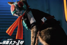 ผลงานคอสเพลย์สุดน่ารัก Shin KaMeow Rider