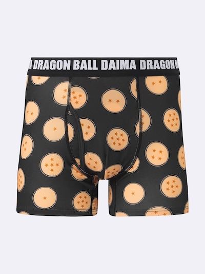 Dragon Ball