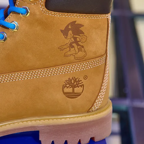Sonic the Hedgehog