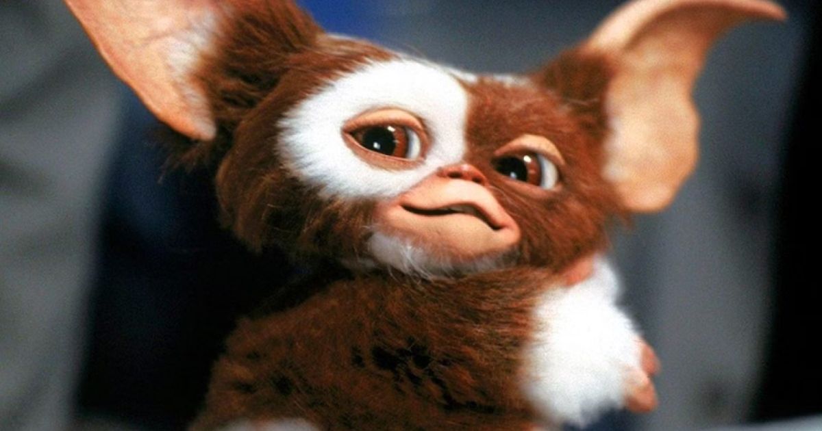 Gremlins 3 ภาคต่ออย่างเป็นทางการเตรียมฉายปลายปี 2027