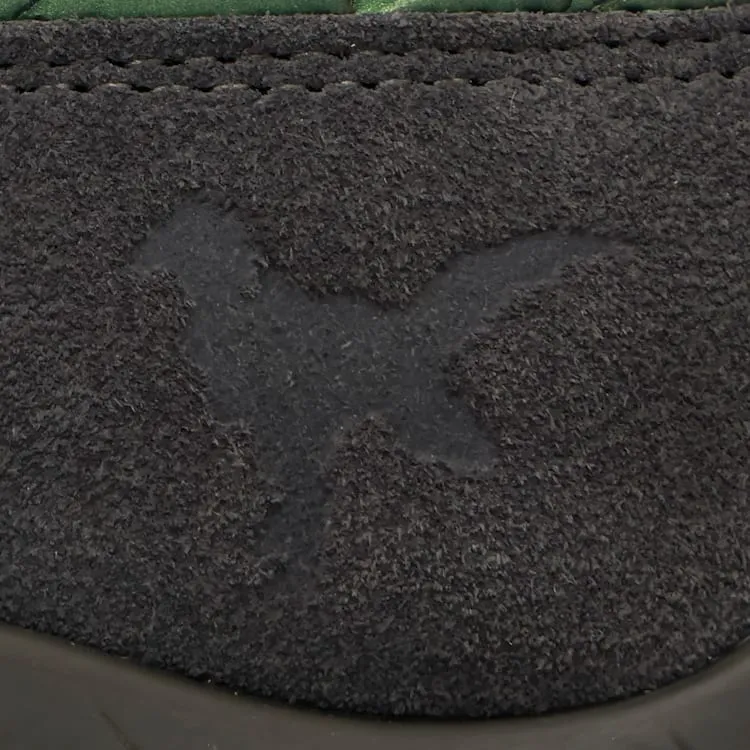 MONSTER HUNTER WILDS