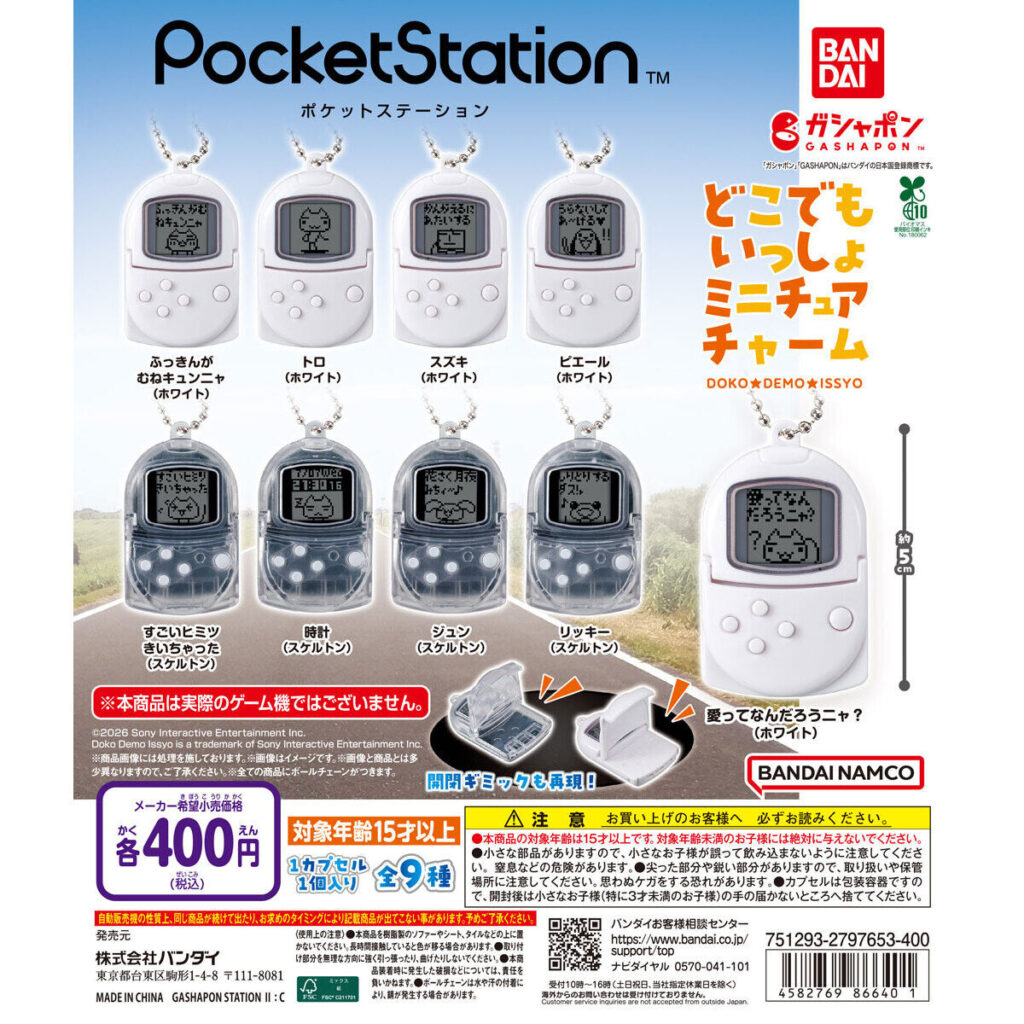 Pocket Station