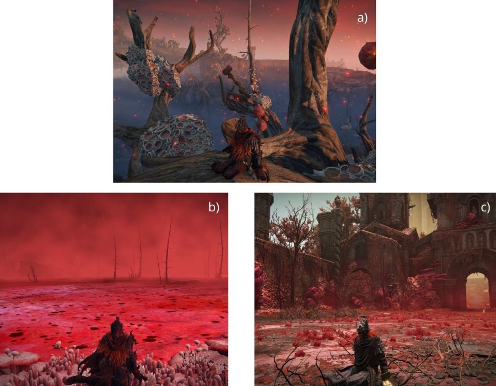 Elden Ring : Scarlet rot ในมุมมองของชีววิทยา 4 Elden Ring : Scarlet rot ในมุมมองของชีววิทยา