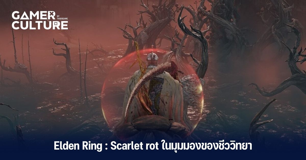 Elden Ring : Scarlet rot ในมุมมองของชีววิทยา - Gamer Culture