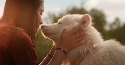 [Review] โกฮัง..หัวใจโกโฮม หนังฟีลกู๊ดที่พร้อมพาผู้ชมเสียน้ำตา