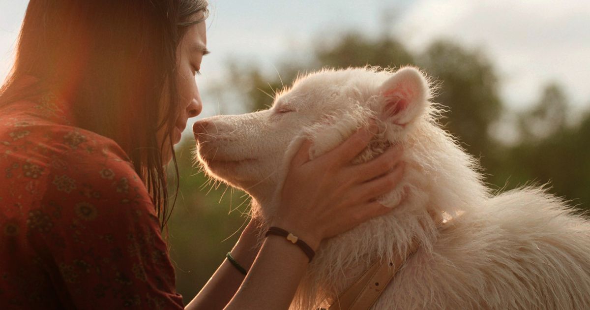 [Review] โกฮัง..หัวใจโกโฮม หนังฟีลกู๊ดที่พร้อมพาผู้ชมเสียน้ำตา