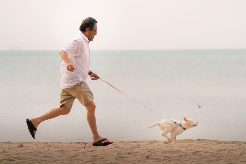 [Review] โกฮัง..หัวใจโกโฮม หนังฟีลกู๊ดที่พร้อมพาผู้ชมเสียน้ำตา