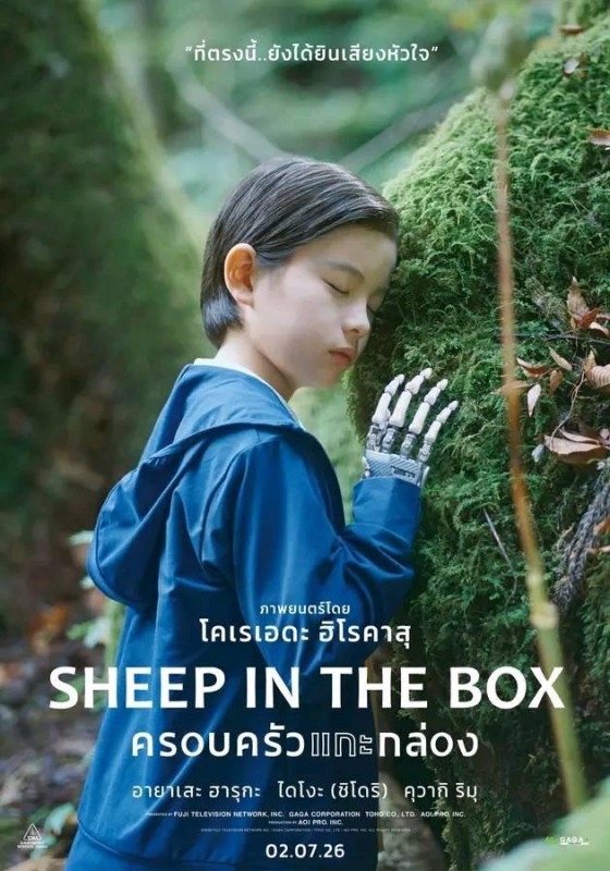 Sheep in the Box