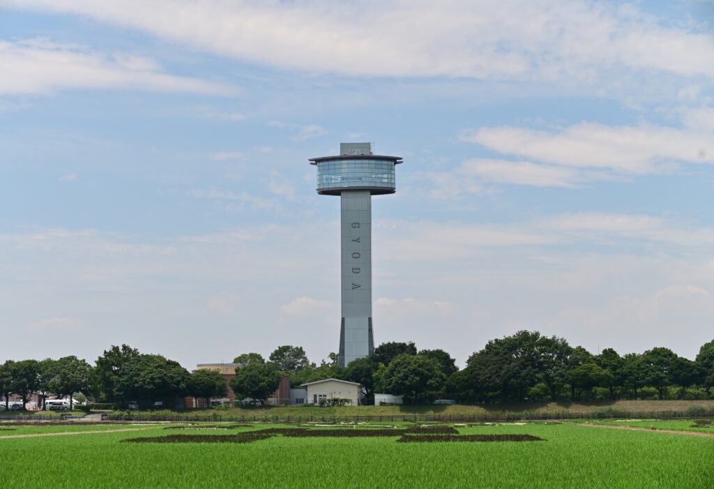 สวยงาม! เมื่อตัวละครจาก Minecraft ถูกนำมาเป็นศิลปะในนาข้าว 4 Minecraft