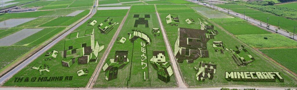 สวยงาม! เมื่อตัวละครจาก Minecraft ถูกนำมาเป็นศิลปะในนาข้าว 3 Minecraft