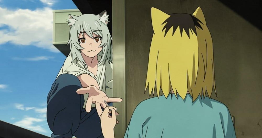 Yani neko