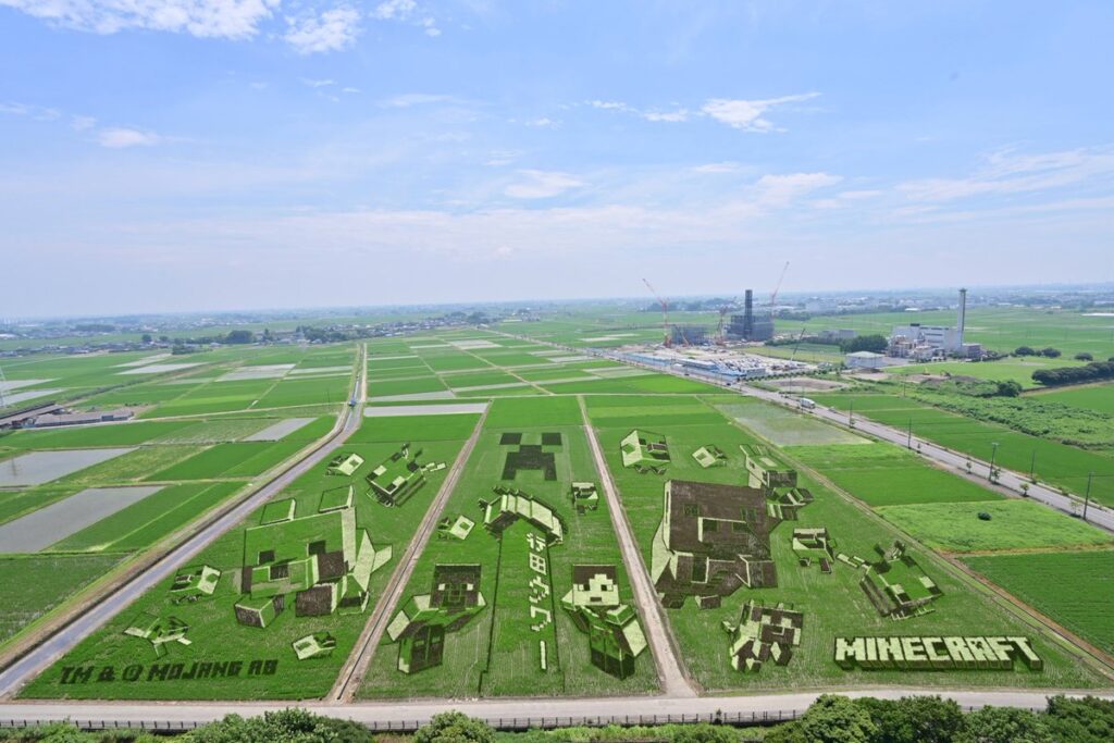 สวยงาม! เมื่อตัวละครจาก Minecraft ถูกนำมาเป็นศิลปะในนาข้าว 5 Minecraft