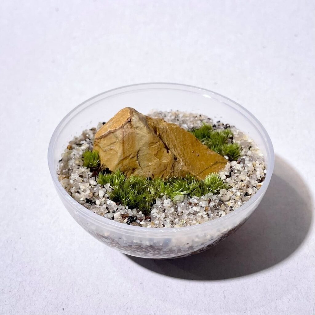 สร้างสวนเล็ก ๆ แบบสุ่มไปกับ Gashapon Terrarium 3 Gashapon Terrarium