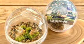 สร้างสวนเล็ก ๆ แบบสุ่มไปกับ Gashapon Terrarium