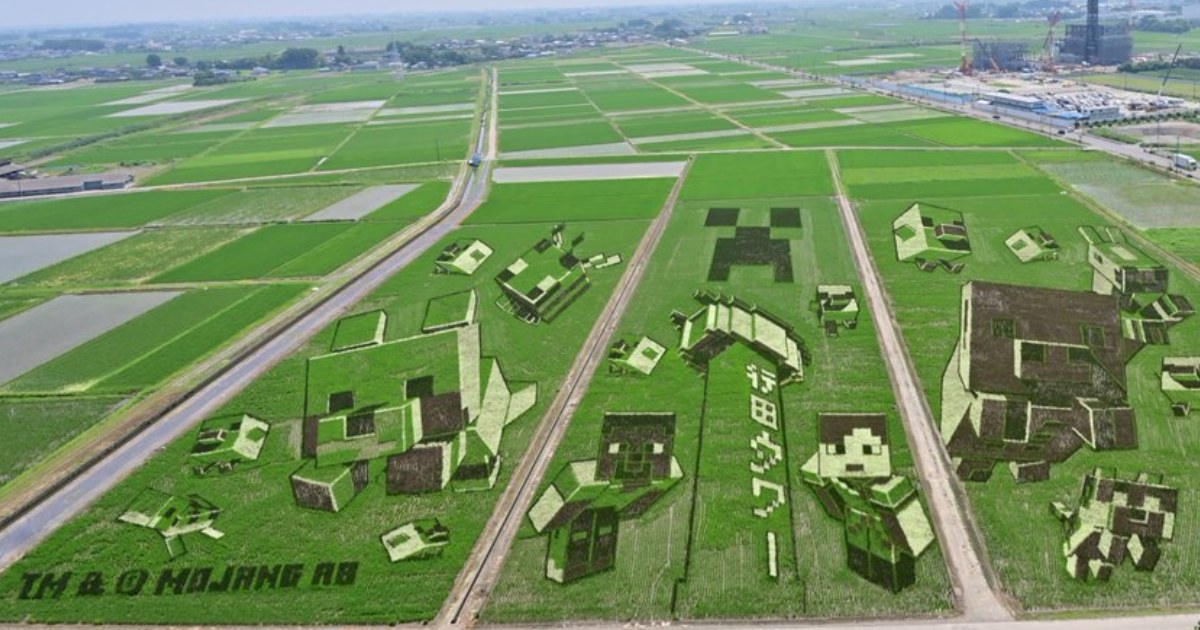 สวยงาม! เมื่อตัวละครจาก Minecraft ถูกนำมาเป็นศิลปะในนาข้าว 1 สวยงาม! เมื่อตัวละครจาก Minecraft ถูกนำมาเป็นศิลปะในนาข้าว