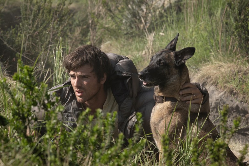 [Review] The Dog Stars ความสุขชั่วคราว ในวันที่โลกสิ้นหวัง