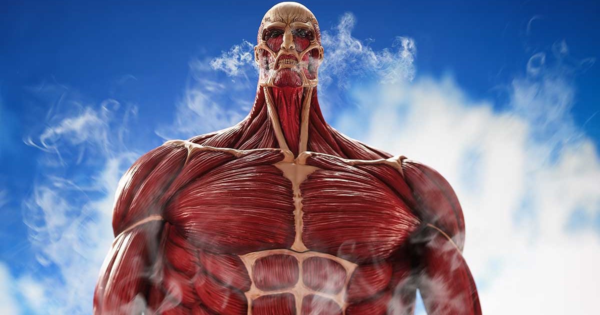 เบิ้มจัด! Mega Soft Vinyl Colossus Titan จาก Attack on Titan 1 เบิ้มจัด! Mega Soft Vinyl Colossus Titan จาก Attack on Titan